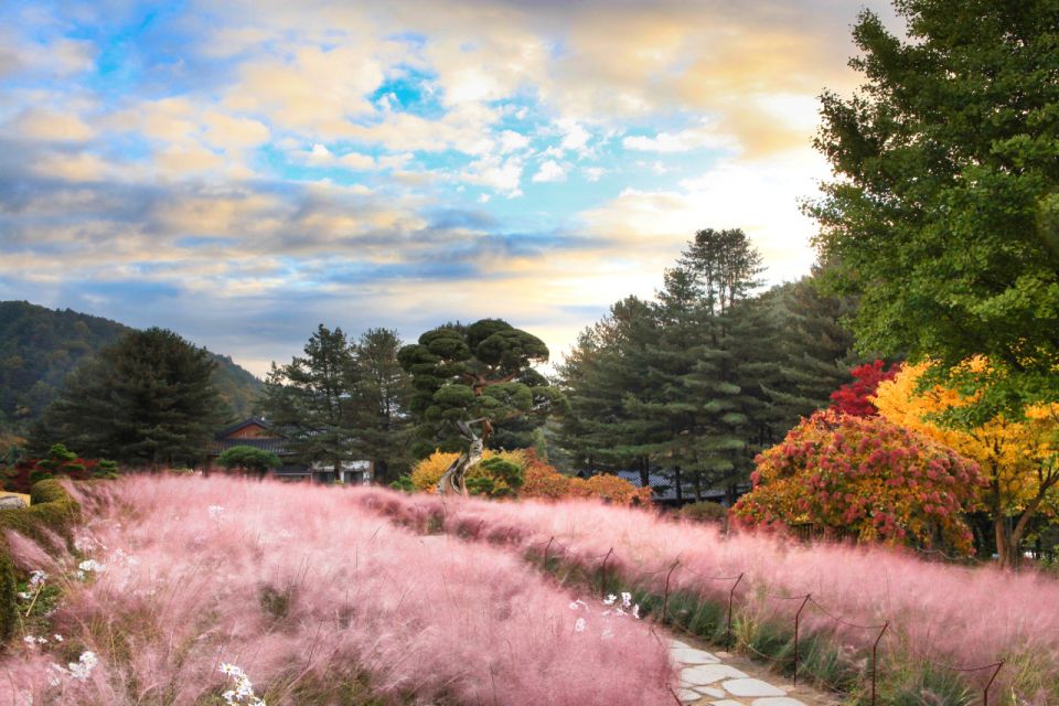 Seoul: Nami Island and Garden of Morning Calm Day Trip - Experience Highlights