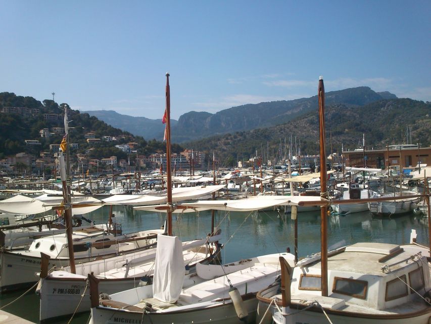 Serra De Tramuntana Half-Day Tour: Soller and Valldemosa - Highlights