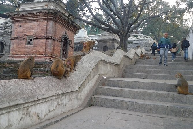 Seven UNESCO World Heritage Sites Day Tour of Kathmandu Velley - Boudhanath Stupa