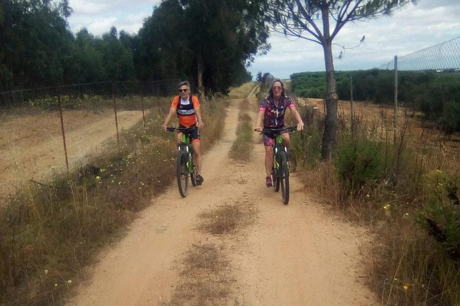 Sevilla Mountain Bike Tour Dehesa De Abajo Doñana - Scenic Views