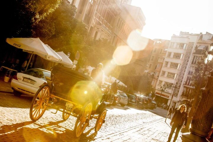 Seville: Authentic and Romantic Horse-Drawn Carriage Ride - Activity Duration and Schedule