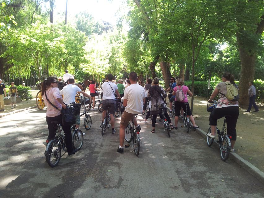 Seville: Guided City Sightseeing E-bike Tour - Activity Description