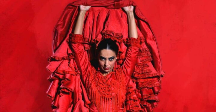 Seville: Live Flamenco Dancing Show Ticket at the Theater - Review Summary