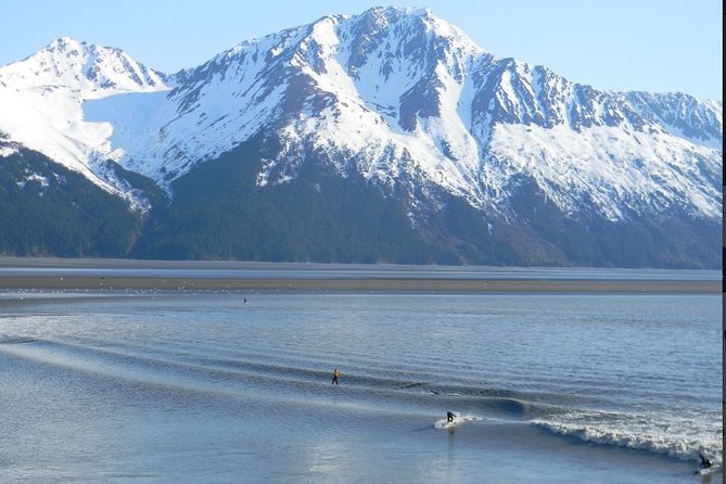 Seward to Anchorage Cruise Transfer and Private Tour - Booking and Pricing Details
