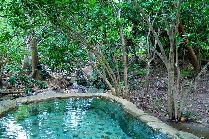 Shaded Hot Spring, Massage and Mex Grill in Puerto Vallarta - Tour Experience