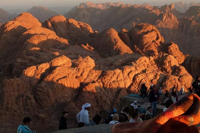 Sharm El Sheik: Mount Sinai Sunrise & St.Catherines Monastery  - Sharm El Sheikh - Cancellation Policy