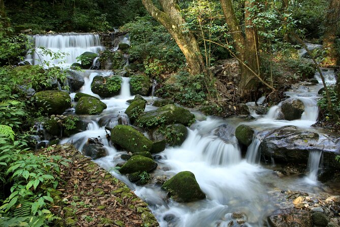 Shivapuri National Park Day Hike From Kathmandu - Wildlife Spotting Opportunities