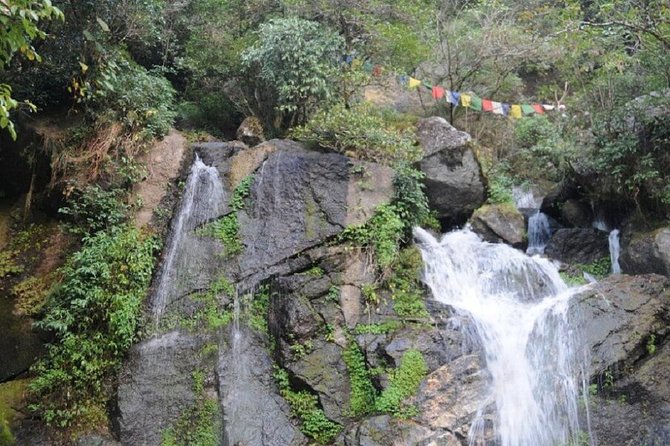 Shivapuri National Park Day Hiking - Budanilkantha, Nagi Gumba, Sundarijal Hike - Reviews and Ratings Overview