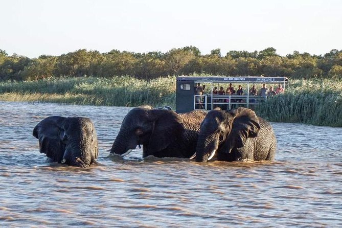 Shoreline Hippo and Crocodile Boat Cruises, Isimangaliso Wetland Park - Reviews and Ratings Summary