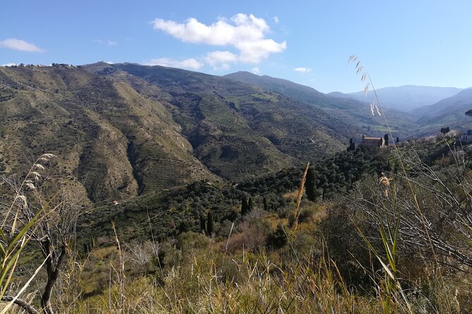 Sicily Private Cooking Class in a Country House  - Cefalù - Expectations and Accessibility