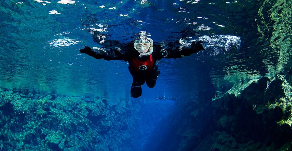 Silfra: Snorkeling Between Tectonic Plates, Meet on Location - Experience Highlights