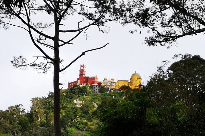 Sintra Private 1-Hour Sightseeing Ride to Pena Palace - Reviews