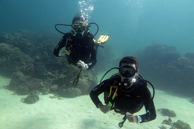 Siquijor Scuba Diving for Beginners - Essential Gear for Beginners