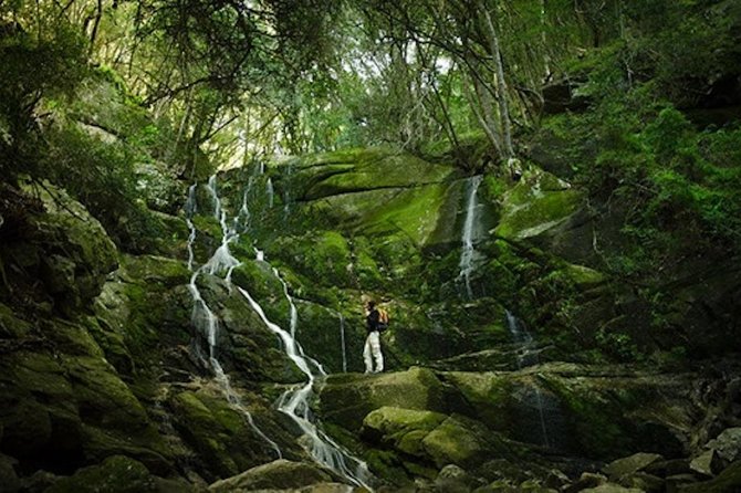 Skeleton Gorge to Table Mountain Summit - Inclusions and Logistics