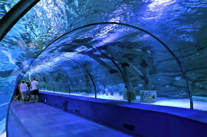 Skip the Line: Antalya Aquarium Ticket - Features of the Aquarium & Wax Museum