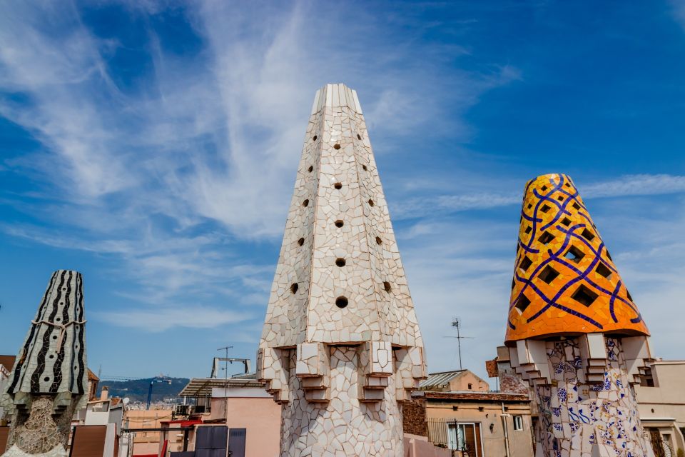 Skip-the-Line Private Tour of the Güell Palace by Gaudi - Options and Inclusions