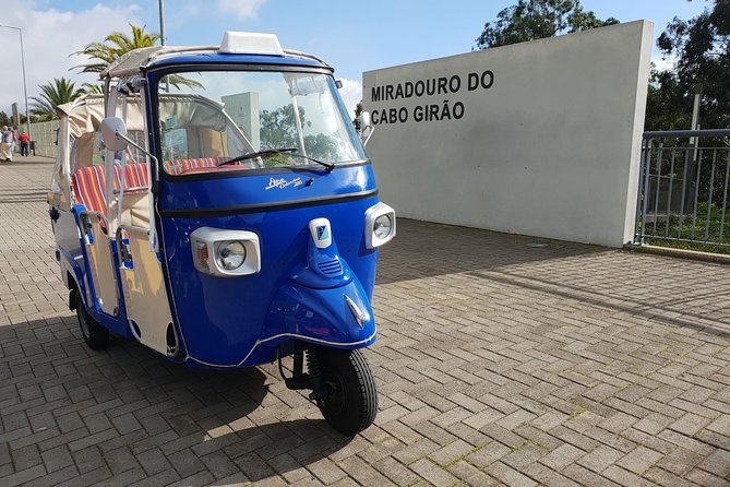 SkyWalk - Cabo Girão - Authentic Traveler Reviews Breakdown