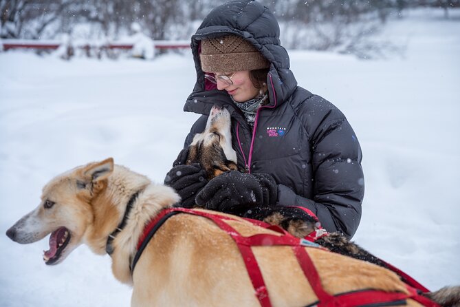 Sled Dog Sampler Ride in Fairbanks - Location Details