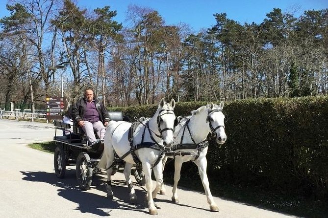 Slovenia, Lipica Stud Farm and Postojna Cave Small Group Tour - Booking Information