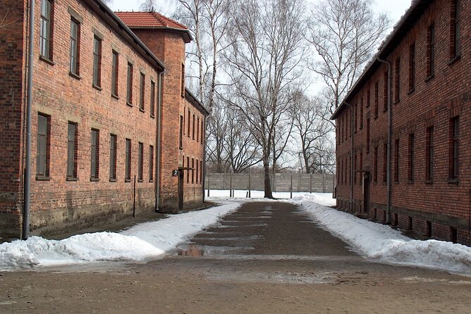 Small Group Auschwitz-Birkenau Guided Tour From Krakow ABTA - Accessibility and Physical Requirements