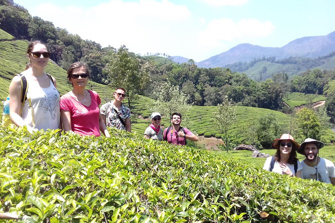 Small-Group Full-Day Guided Mountain Hiking Around Munnar - Customer Reviews