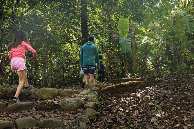 Small-Group Mangrove Hike  - Quepos - Educational Aspect