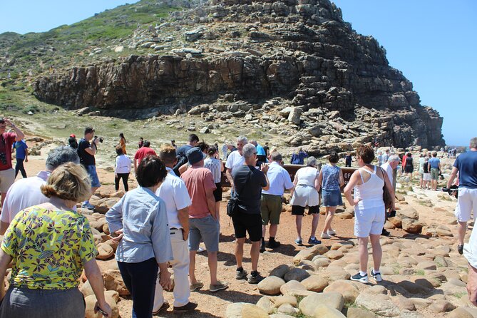 Small Group Private Tour To Cape Point Penguins From Cape Town Excl Entry Fees - Small Group Experience