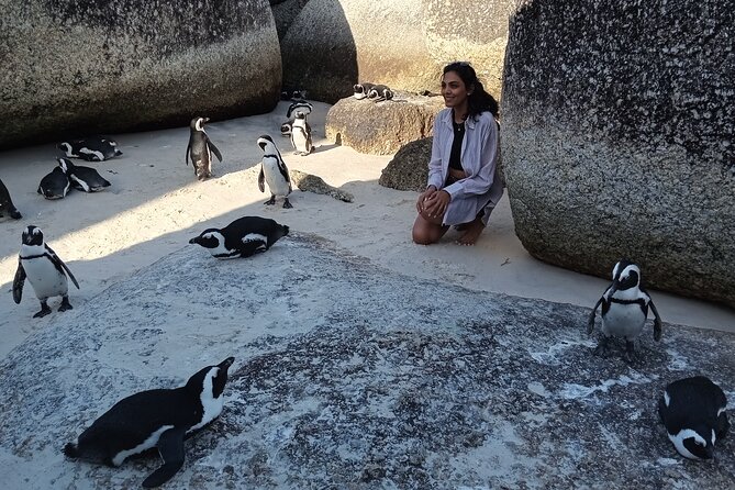 Small Group Tour to Cape of Good Hope and Boulders Beach Penguin - Booking Information