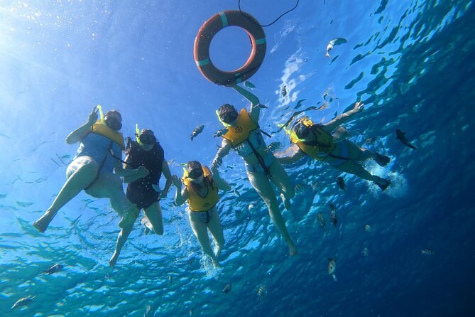 Snorkel Along the Coast, Explore Two Reefs by Chivis Del Mar - End Point and Reservation Details