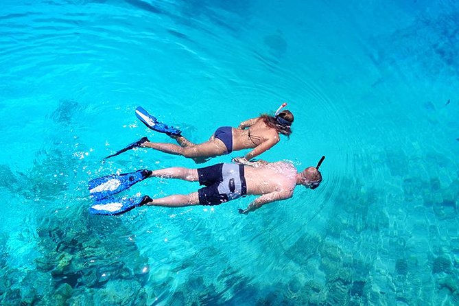 Snorkel Tour - San Jose Del Cabo - Boat Features