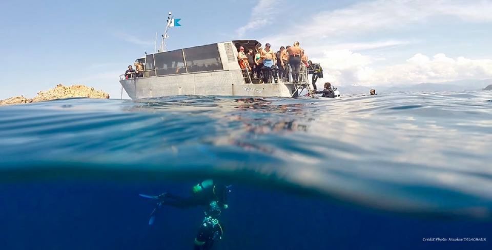 Snorkeling - Snorkeling - Snorkeling Experience: Gulf of Ajaccio