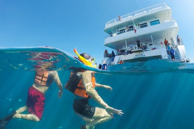 Snorkeling Tour in Cabo San Lucas - Customer Feedback and Reviews
