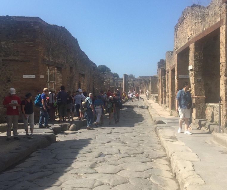 Sorrento: Transfer From or to Sorrento With a Stop at Pompeii Archaeological Site - Activity Details