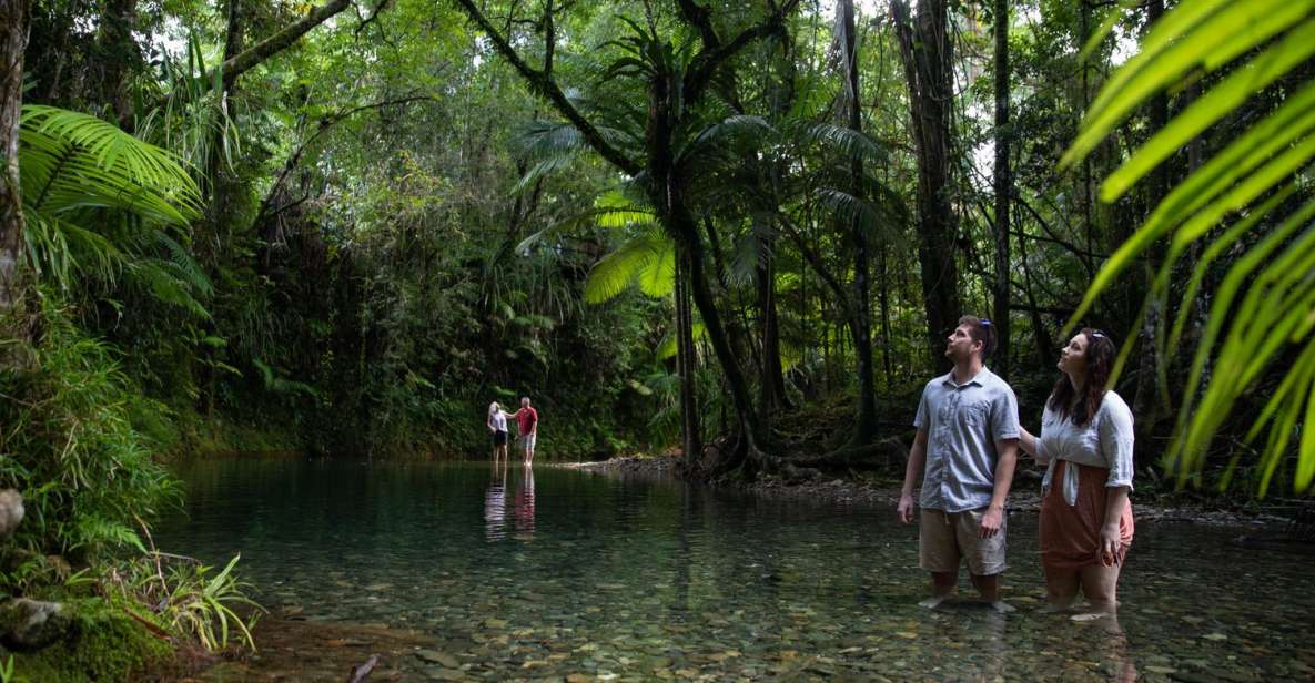 Southern Daintree Explorer Tour - Half Day - Highlights