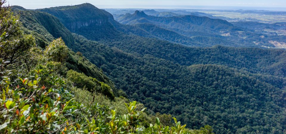 Spring Brook National Park Self Guided Driving Tour - Cancellation Policy