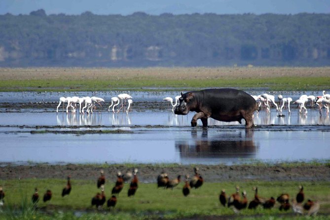 St Lucia Estuary Boat Cruise - Cancellation Policy