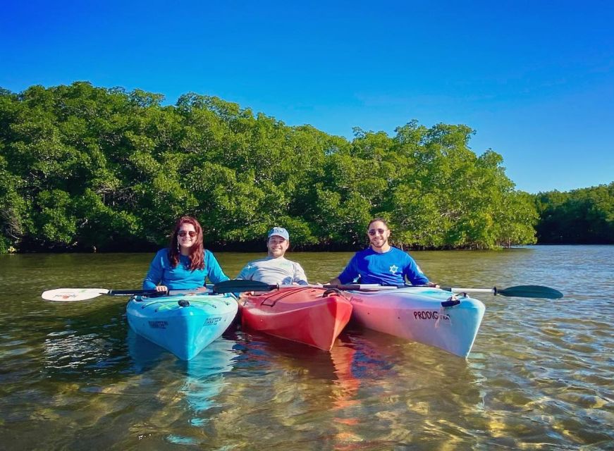 St. Petersburg, FL: Weedon Island Kayak Tour - Detailed Description of the Tour