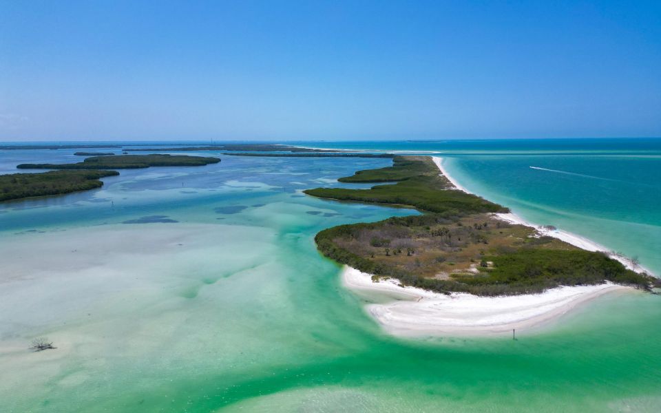 St Petersburg: Shell Key Nature Preserve Clear Kayak Tour - Location Details and Parking Information