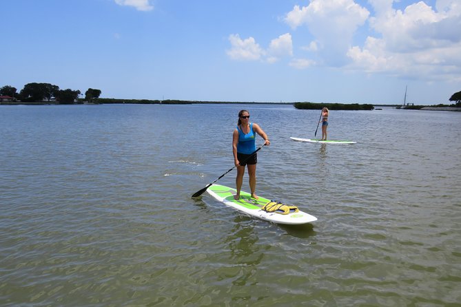 Stand Up Paddle Board Rental in Rose Bay - Experience Highlights