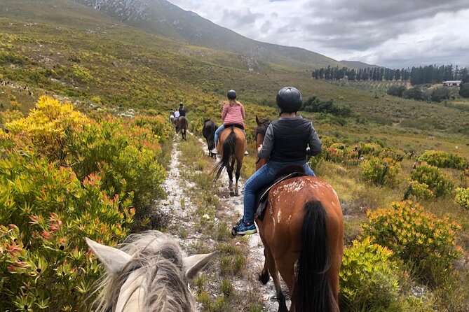 Stanford Mountain Ride 1 Hour - Inclusions