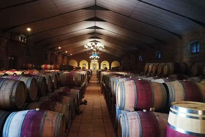 Stellenbosch Vineyard Walk & Wine Tasting - Review Analysis