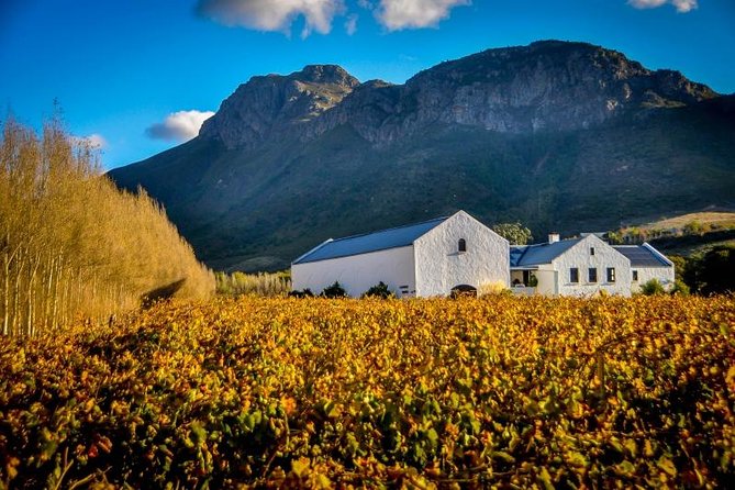 Stellenbosch Winelands Half-Day Tour From Cape Town - Itinerary