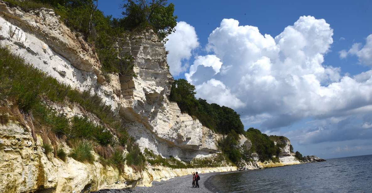 Stevns Klint: Scenic Hiking at a UNESCO World Heritage Site - Activity Description
