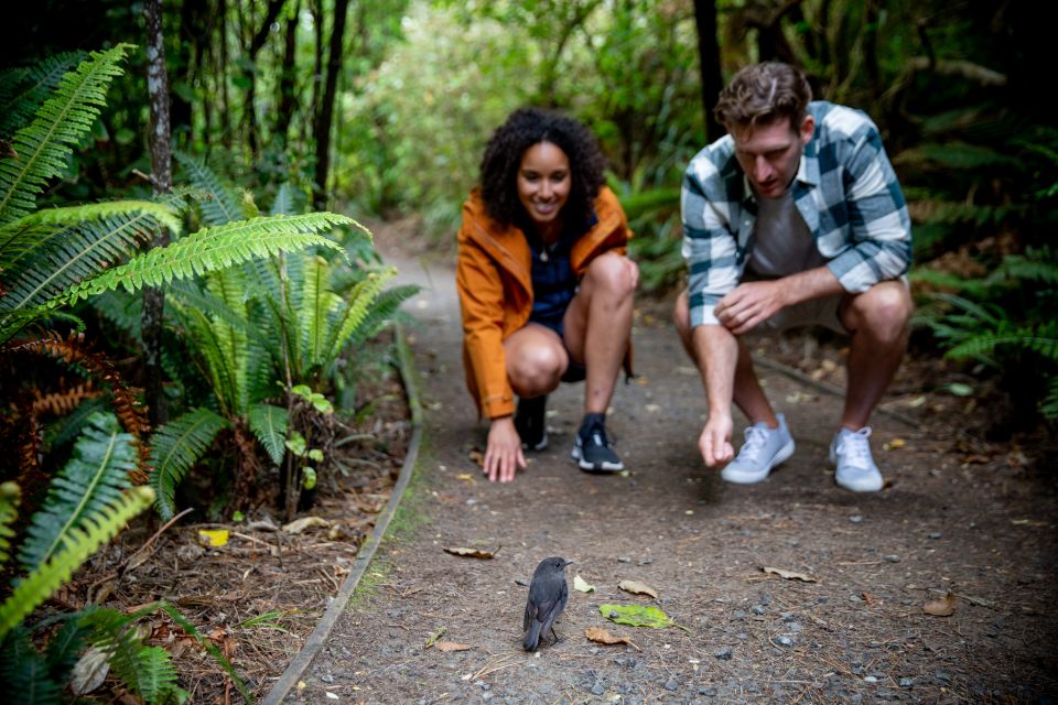 Stewart Island: Ulva Island Guided Wilderness Walk & Cruise - Experience Highlights