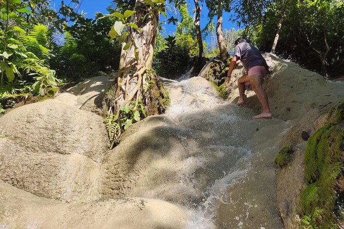 Sticky Waterfalls, Doi Suthep Temple Views, Wat Palad and Monks Chanting. - Price and Highlights