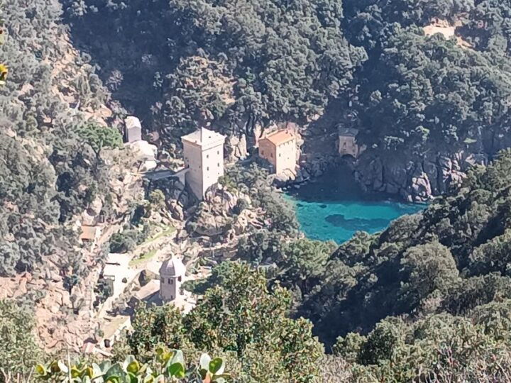 Sunset Adventure Hiking in Portofino Natural Park - Languages and Group Size