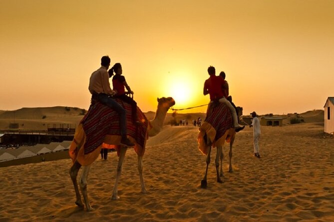 Sunset Camel Caravan Experience With Sunboard and BBQ Dinner Buffet - Logistics