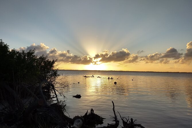 Sunset Kayaking Tour at Manatee Cove With Manatee & Dolphin Sightings - Meeting and Pickup Details