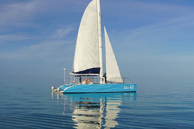 Sunset Sail & Dolphin Search With Honest Eco - Participant Requirements