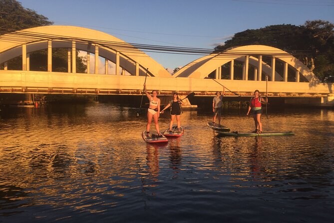 Sunset Stand up Paddle With Photos and Turtles - Participant Requirements